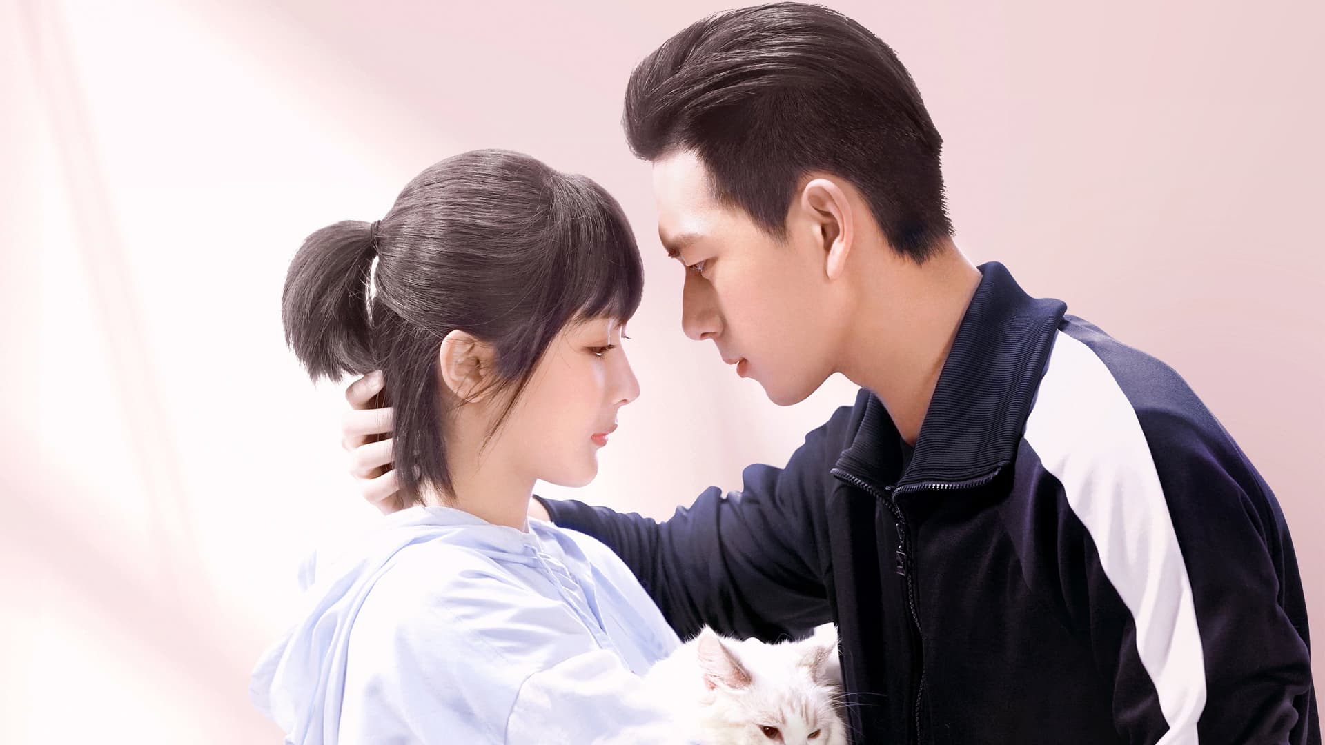 iQiyi