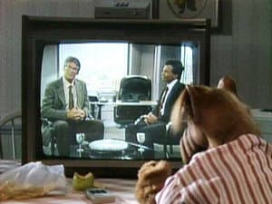 Capitulo 5