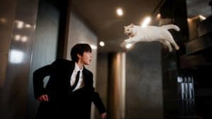 Love in Disguise 1x2