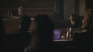 Capitulo 8