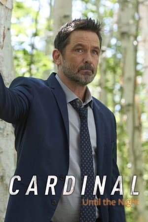 Capitulo 6