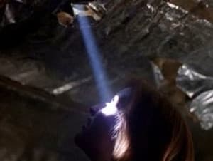 Capitulo 8