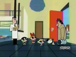 Capitulo 5