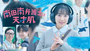 Extraordinary Attorney Minami 1x1