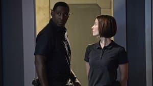 Capitulo 7