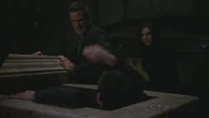 Capitulo 6