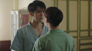 Capitulo 7