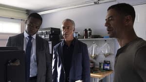 Capitulo 7