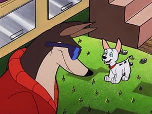 Capitulo 6