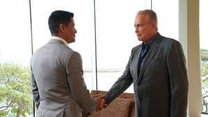 Capitulo 7