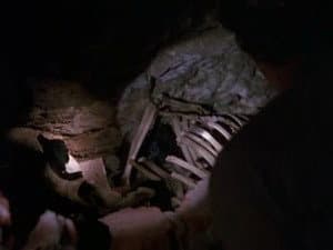Capitulo 7